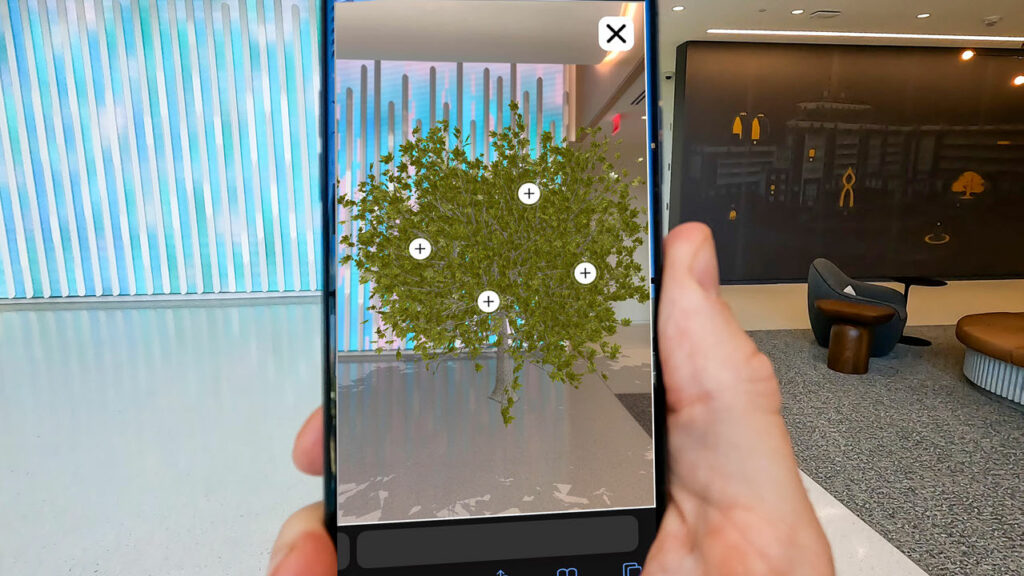 Personal holding smartphone, seeing an AR visualization of a tree